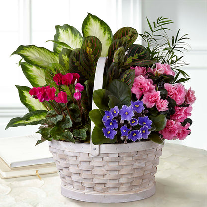 Peaceful Garden Planter –  Murphy Florist, Cincinnati OH