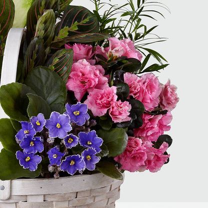 Peaceful Garden Planter –  Murphy Florist, Cincinnati OH