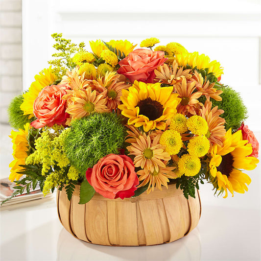 Harvest Sunflower Basket –  Murphy Florist, Cincinnati OH