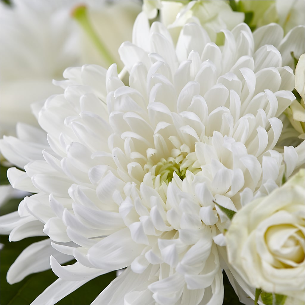Classic Ivory – A Florist Original –  Murphy Florist, Cincinnati OH