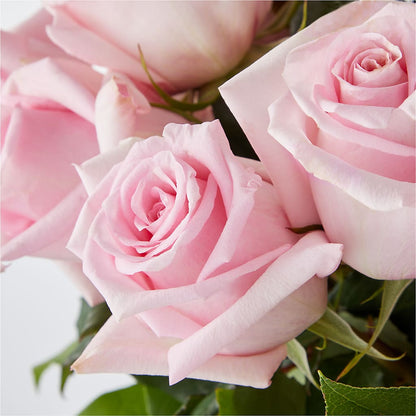 Picture Perfect Pink Rose Bouquet –  Murphy Florist, Cincinnati OH
