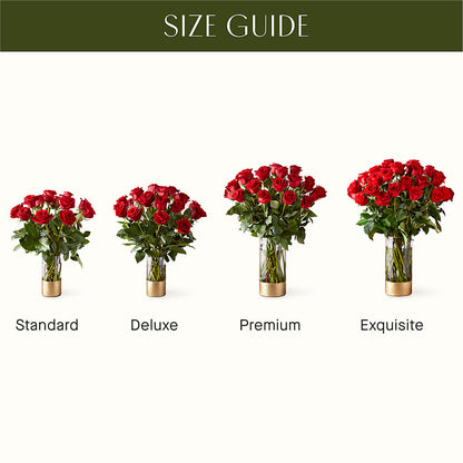 Classic Love Red Rose Bouquet –  Murphy Florist, Cincinnati OH