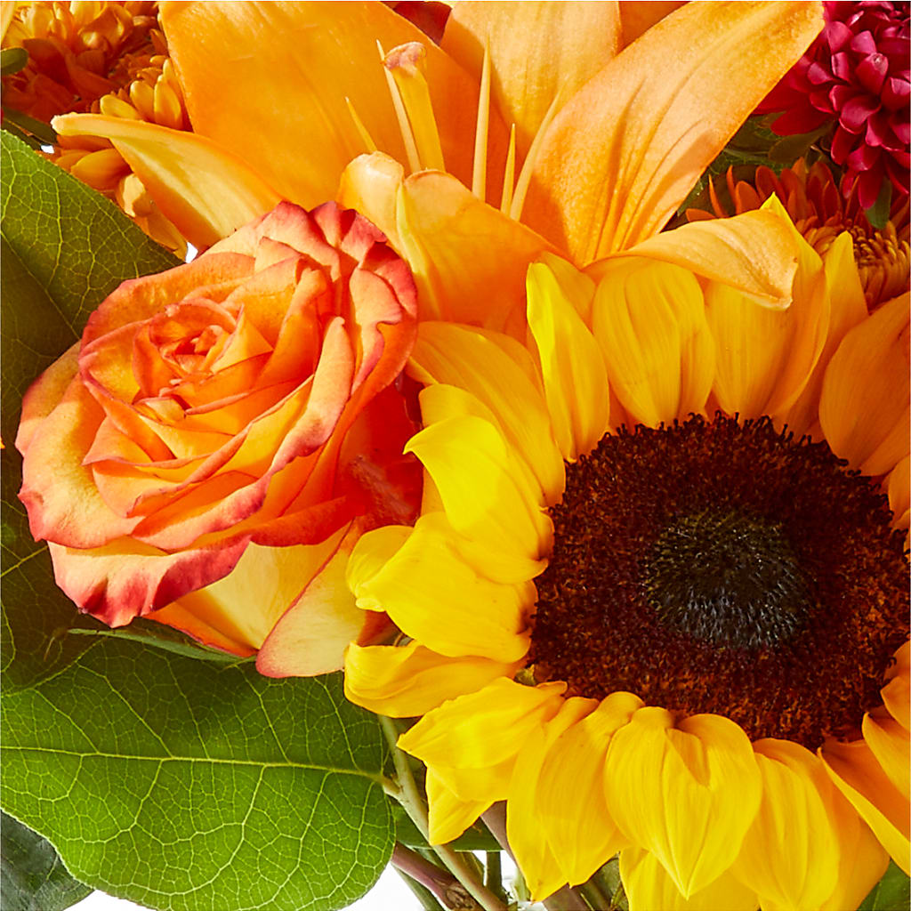 Fall Day Bouquet –  Murphy Florist, Cincinnati OH
