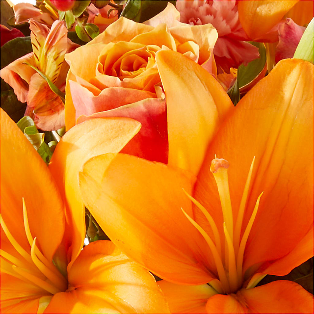 Afternoon Light Bouquet –  Murphy Florist, Cincinnati OH
