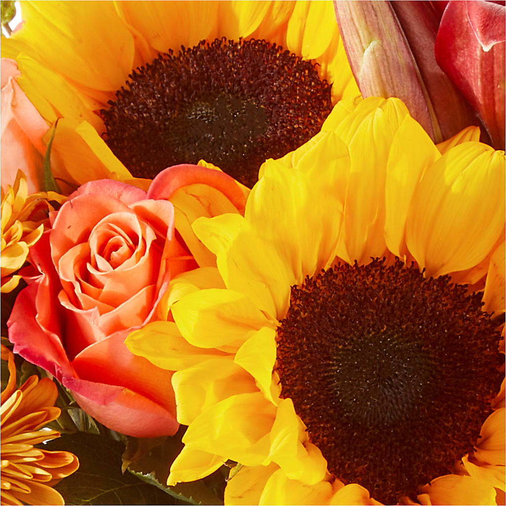 Acorn Lane Bouquet –  Murphy Florist, Cincinnati OH