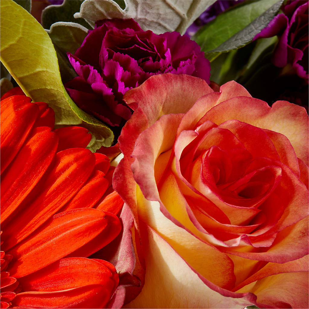 Sangria Bouquet –  Murphy Florist, Cincinnati OH