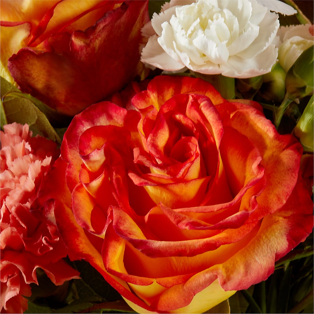 Apricot Glow Bouquet –  Murphy Florist, Cincinnati OH