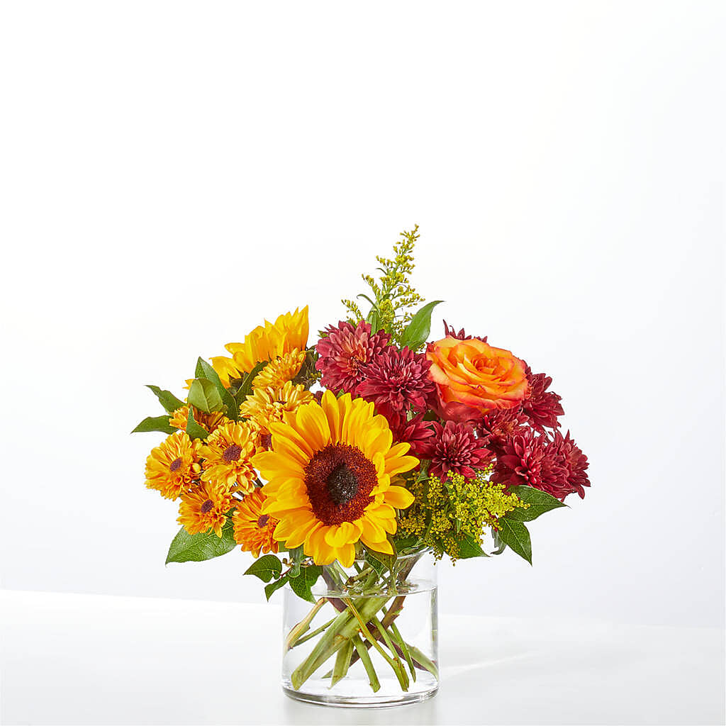 Flannel Scarf Bouquet –  Murphy Florist, Cincinnati OH