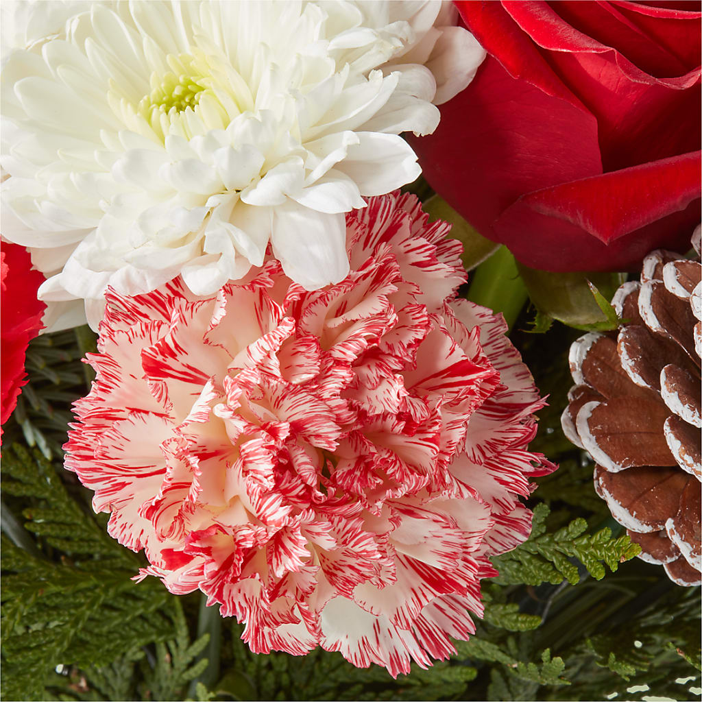 Candy Cane Lane Bouquet –  Murphy Florist, Cincinnati OH