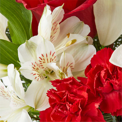 Holiday Season Bouquet –  Murphy Florist, Cincinnati OH