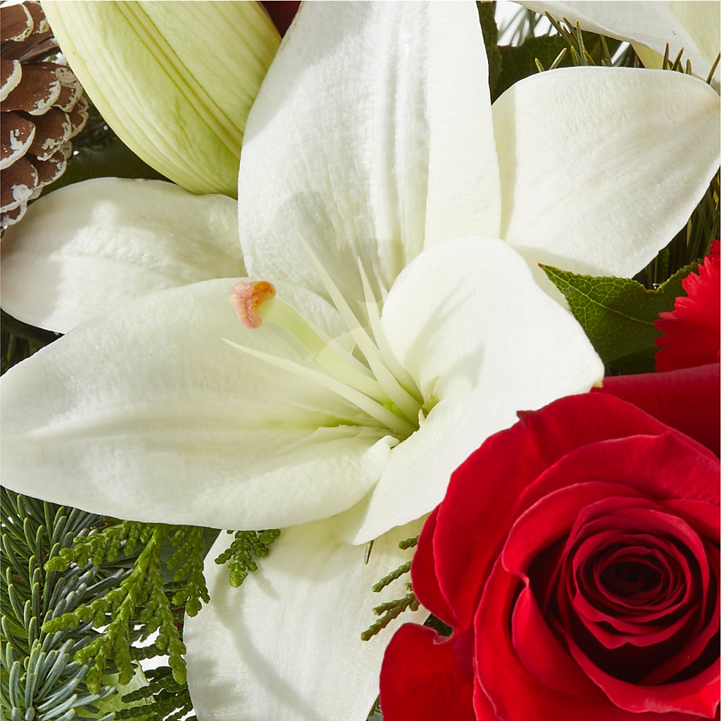 Oh So Jolly Bouquet –  Murphy Florist, Cincinnati OH