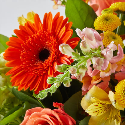 Autumn Sunshine Bouquet –  Murphy Florist, Cincinnati OH