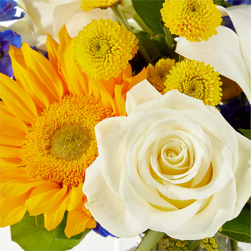Stargazing Bouquet –  Murphy Florist, Cincinnati OH