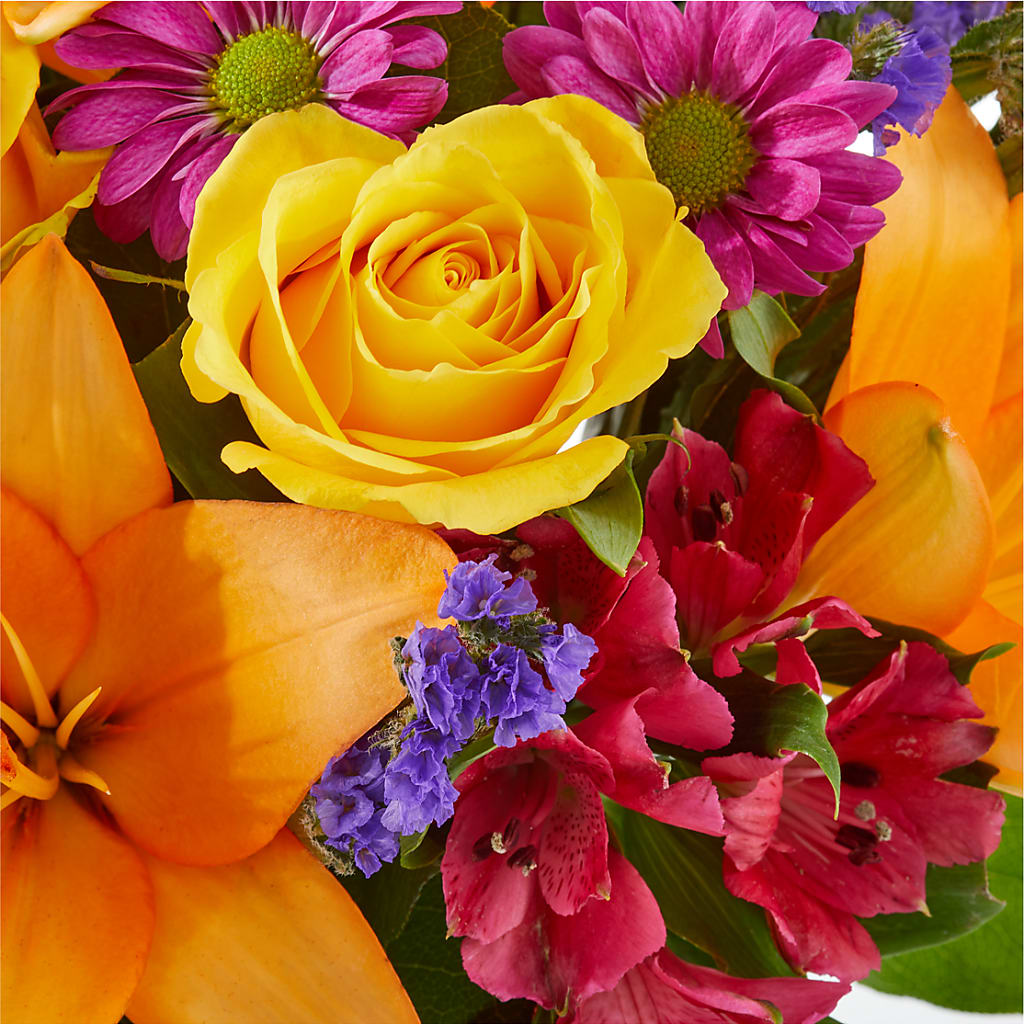 Colorful Visions Bouquet –  Murphy Florist, Cincinnati OH