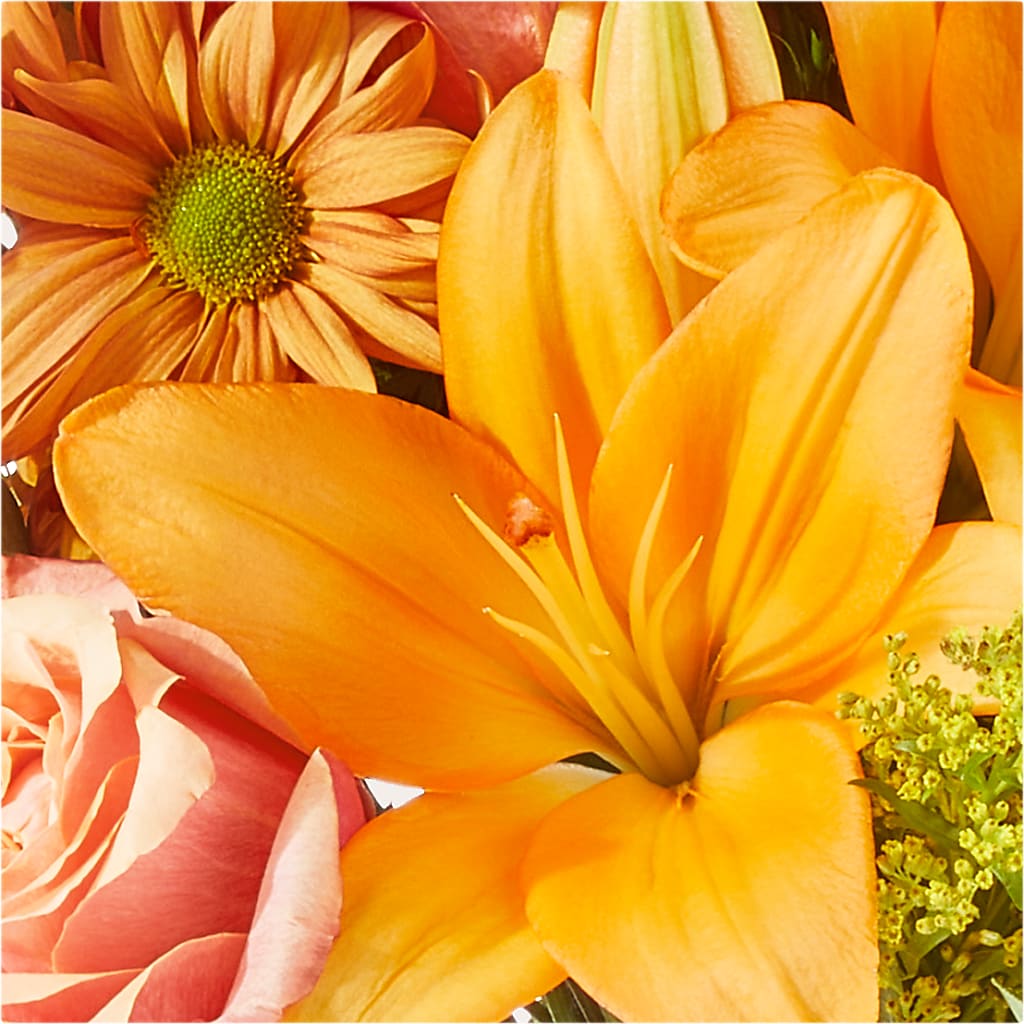 Harvest Hayride Bouquet –  Murphy Florist, Cincinnati OH