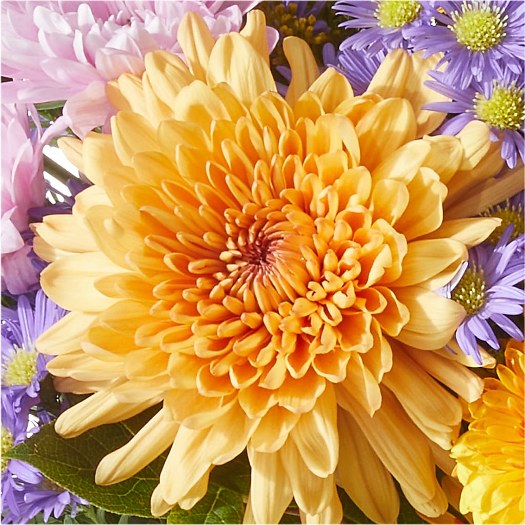 Countryside Bouquet –  Murphy Florist, Cincinnati OH
