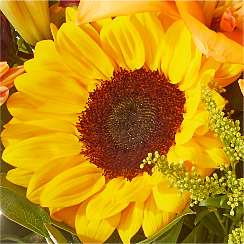 Seasons Change Bouquet –  Murphy Florist, Cincinnati OH