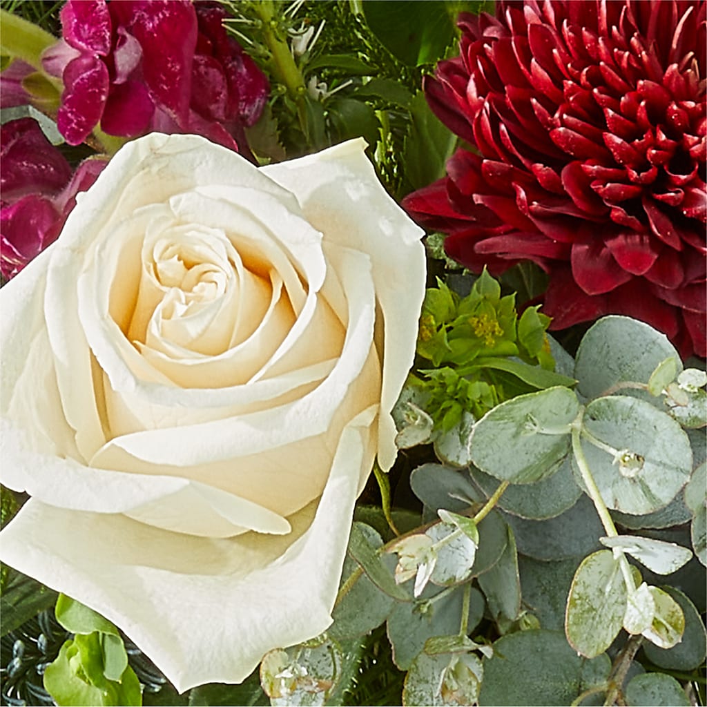 Cranberry Fizz Bouquet –  Murphy Florist, Cincinnati OH