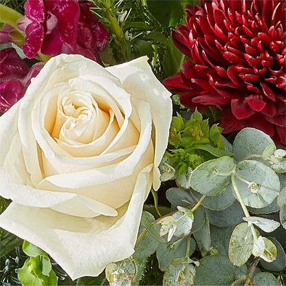 Cranberry Fizz Bouquet –  Murphy Florist, Cincinnati OH
