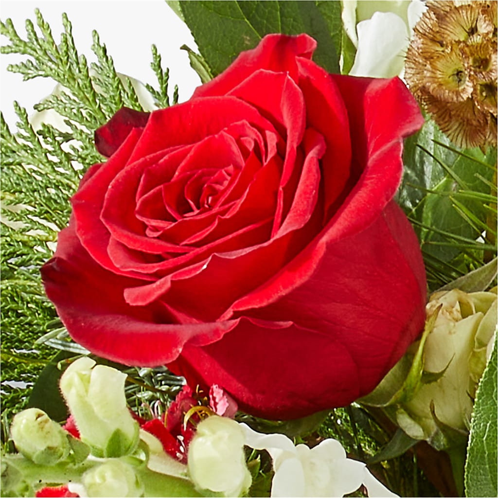Deck the Halls Bouquet –  Murphy Florist, Cincinnati OH