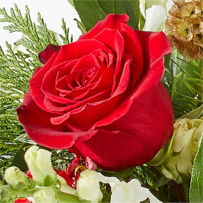 Deck the Halls Bouquet –  Murphy Florist, Cincinnati OH