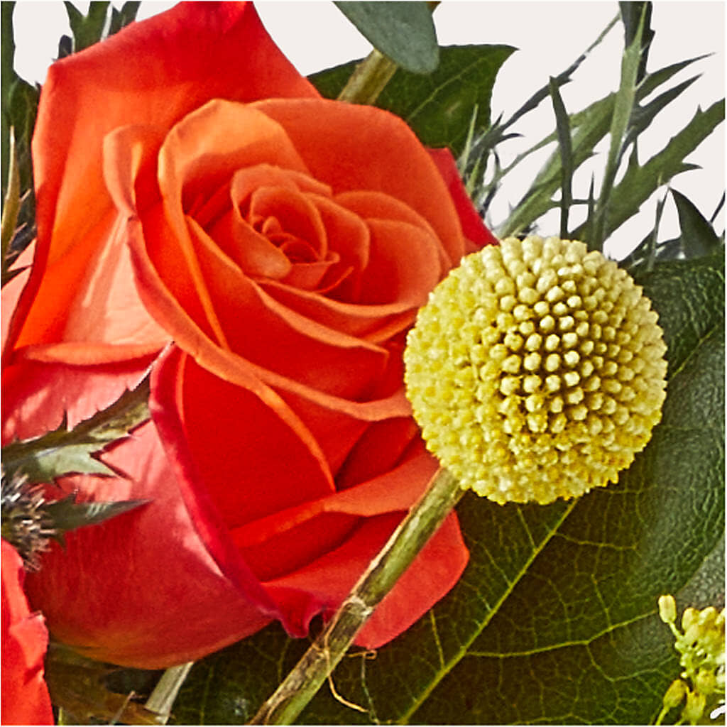 Disco Bouquet –  Murphy Florist, Cincinnati OH