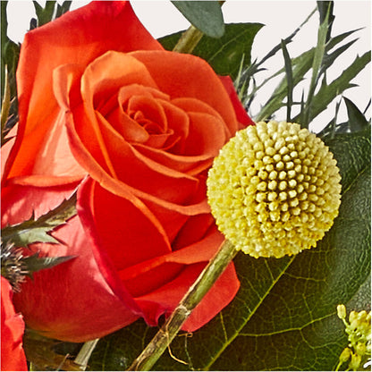 Disco Bouquet –  Murphy Florist, Cincinnati OH