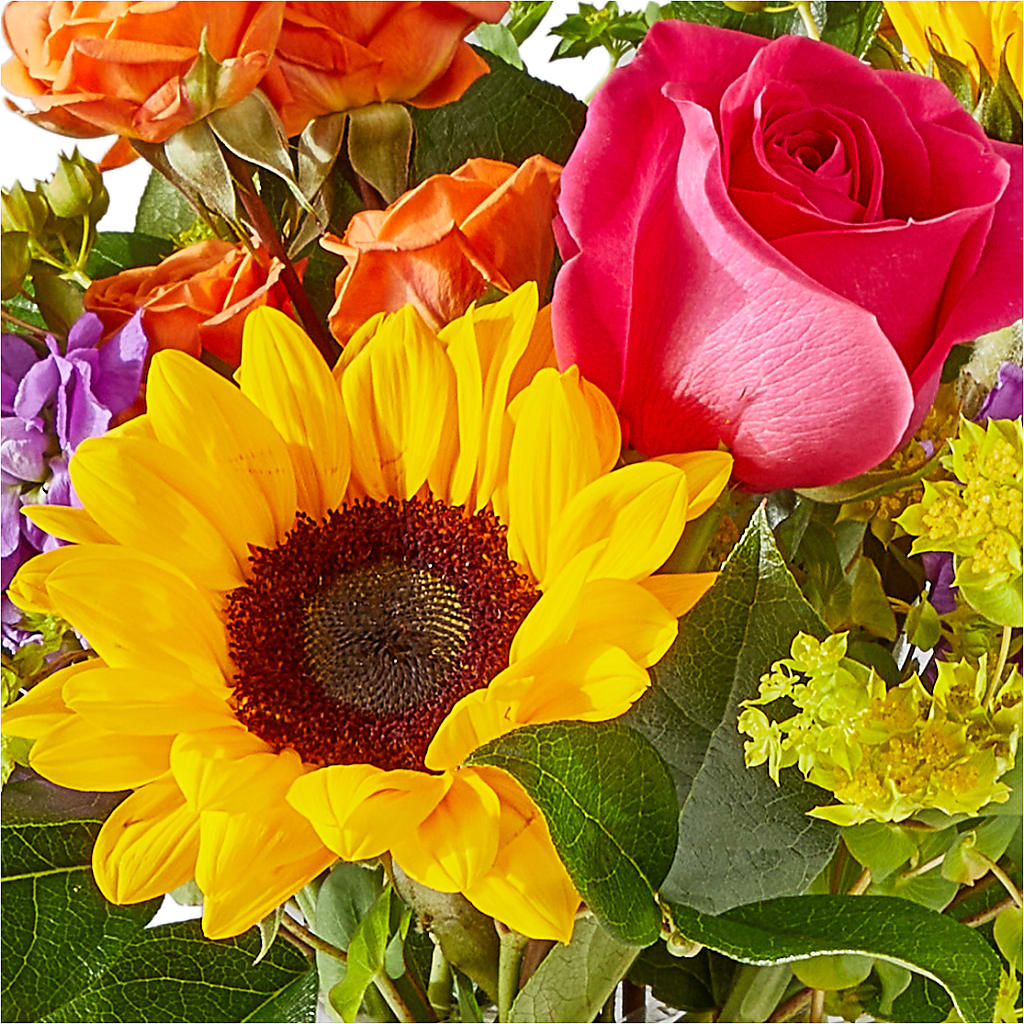 Vibrant Greetings Bouquet –  Murphy Florist, Cincinnati OH