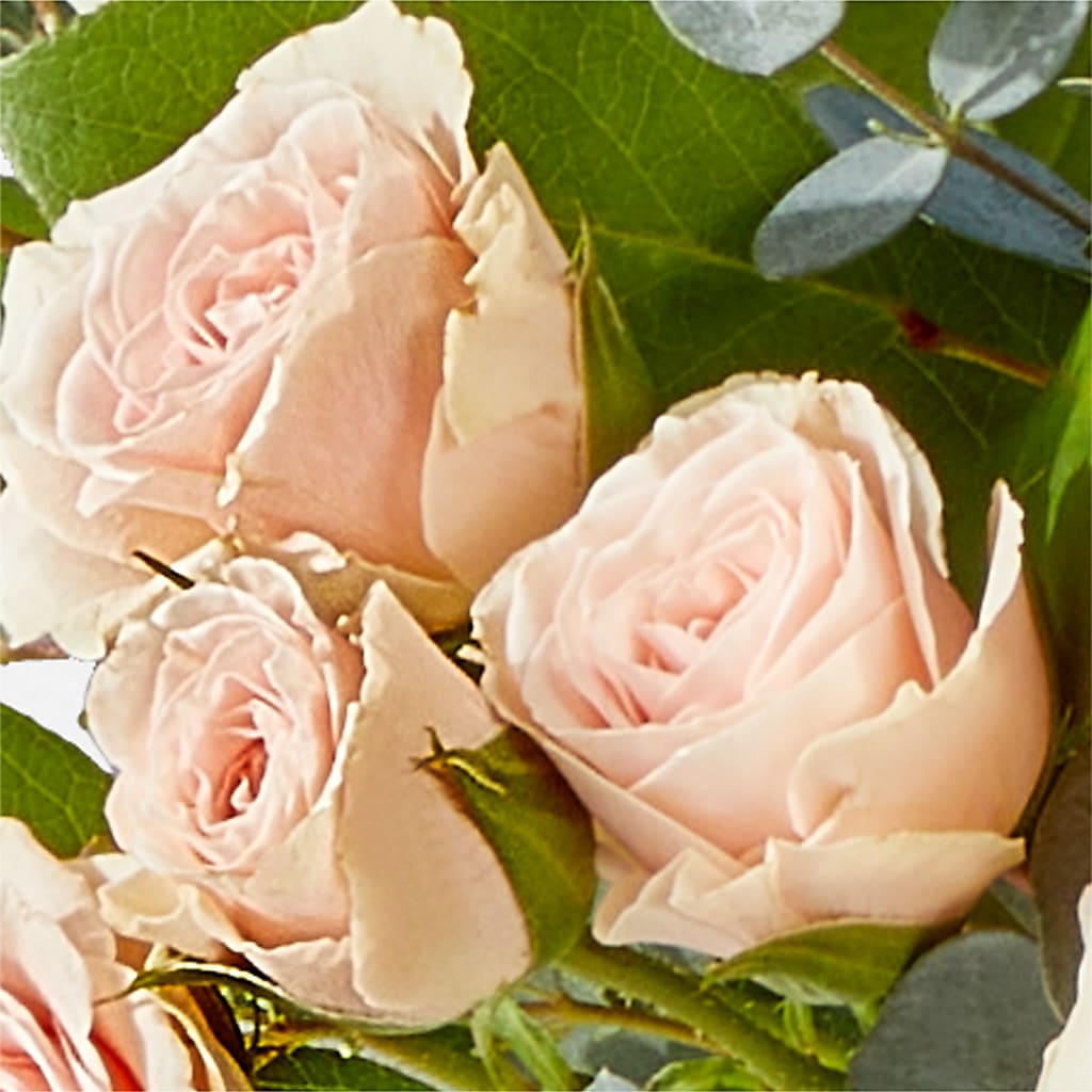Inspired Bouquet –  Murphy Florist, Cincinnati OH