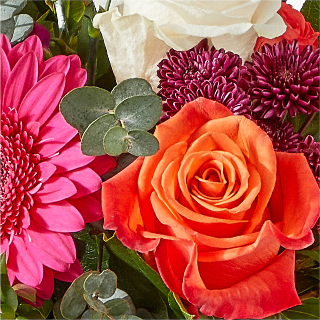 Smell the Roses Bouquet –  Murphy Florist, Cincinnati OH
