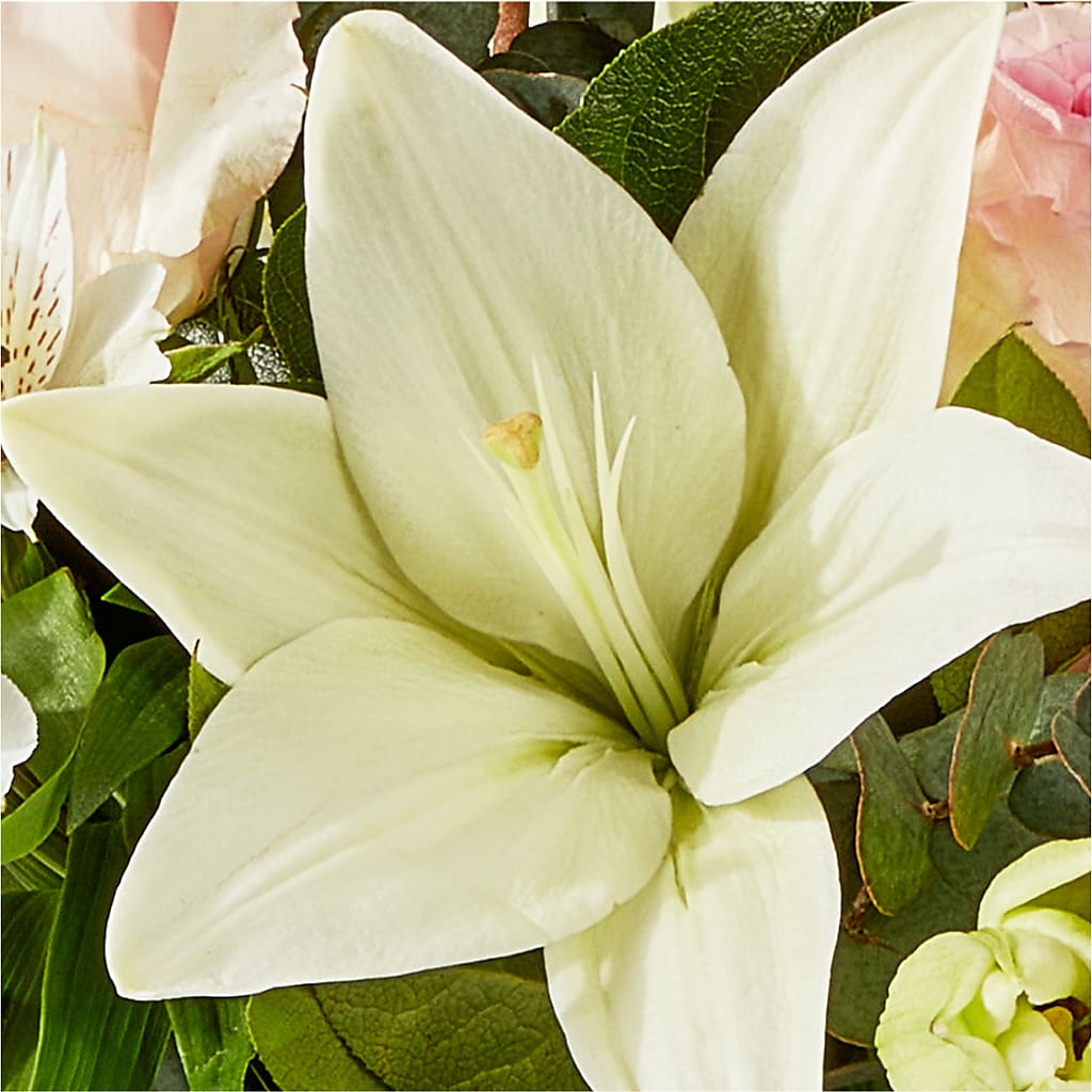 Ballet Slippers Bouquet –  Murphy Florist, Cincinnati OH