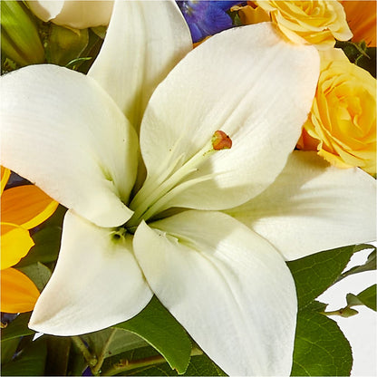 Wonderfully Sunny Bouquet –  Murphy Florist, Cincinnati OH