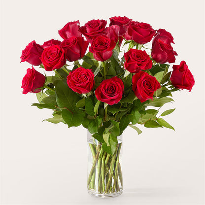 The One Red Rose Bouquet –  Murphy Florist, Cincinnati OH