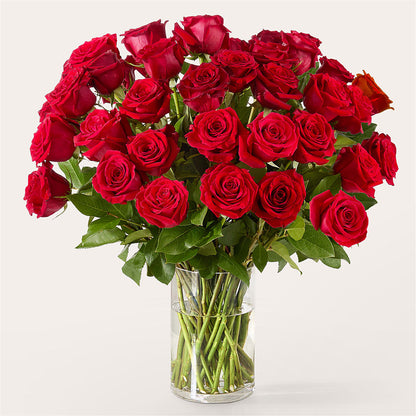 The One Red Rose Bouquet –  Murphy Florist, Cincinnati OH