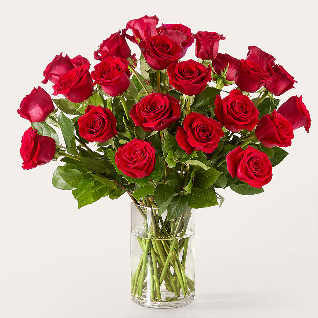 The One Red Rose Bouquet –  Murphy Florist, Cincinnati OH