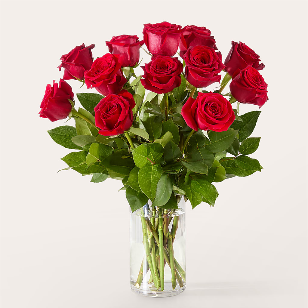 The One Red Rose Bouquet –  Murphy Florist, Cincinnati OH