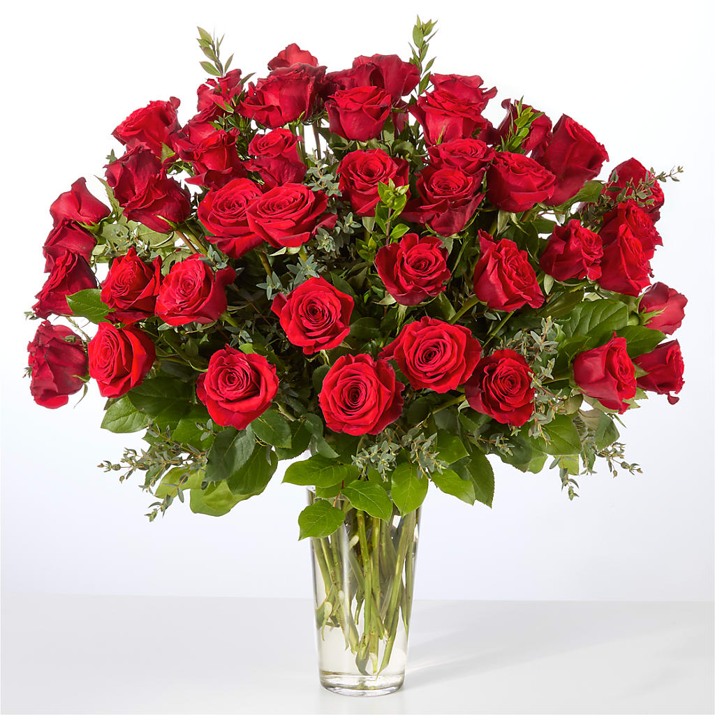 Forever Yours Fifty Stem Red Rose Bouquet –  Murphy Florist, Cincinnati OH