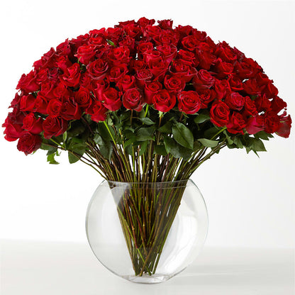 The Idealist –  Murphy Florist, Cincinnati OH