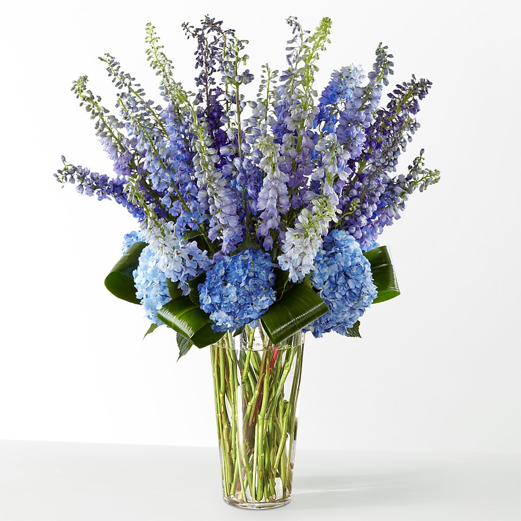 The Editorial –  Murphy Florist, Cincinnati OH
