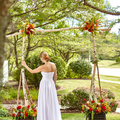 Arbor of Love Archway –  Murphy Florist, Cincinnati OH