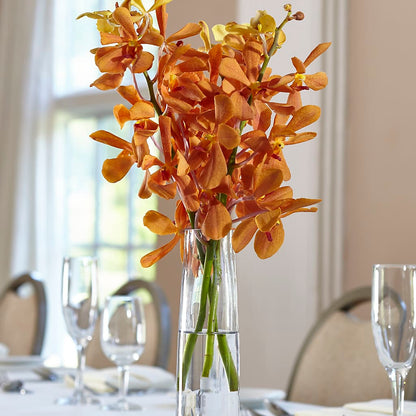 Orange Mokara Bud Vase –  Murphy Florist, Cincinnati OH