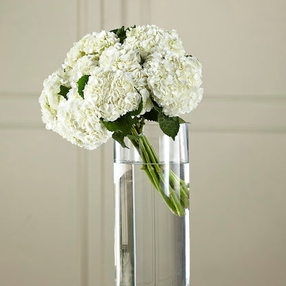 White Hydrangea Hand-Tied Bouquet –  Murphy Florist, Cincinnati OH