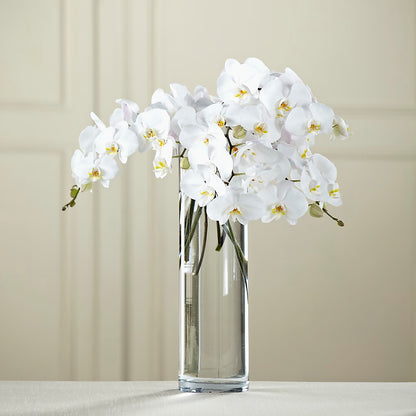 White Phalaenopsis Bouquet –  Murphy Florist, Cincinnati OH