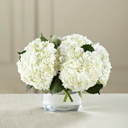 White Hydrangea Bouquet –  Murphy Florist, Cincinnati OH