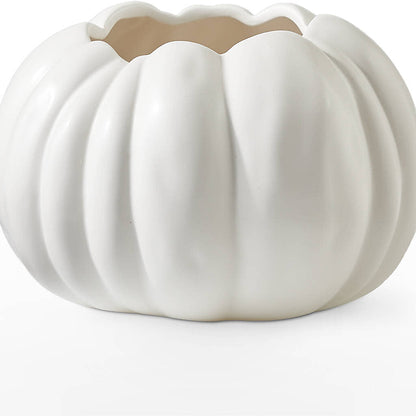 Pumpkin to Talk About Bouquet –  Murphy Florist, Cincinnati OH